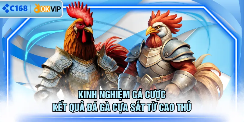 Kinh nghiệm cá cược kết quả đá gà cựa sắt từ cao thủ