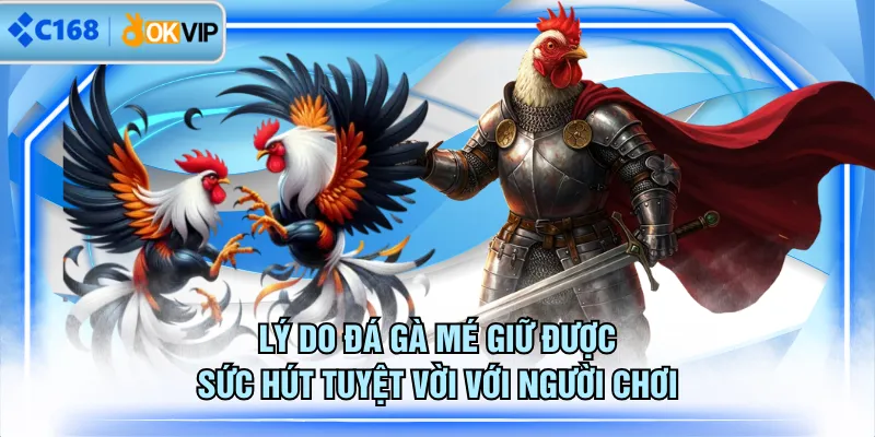 Lý do đá gà mé giữ được sức hút tuyệt vời với người chơi